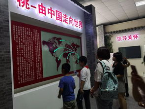 桃香引巧思，非遺潤童心——奉賢錢橋學校暑期親子體驗活動側記